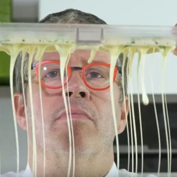 Plnená tabuľka bielej čokolády s citrónom a kaparami