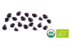 BIO tmavá čokolád – kocky 45 % MIGNON – 15 kg