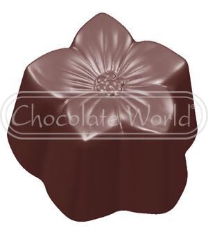 Čokoforma – fialka