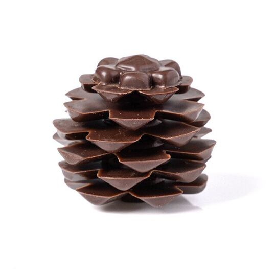 Borová šiška – 24 ks