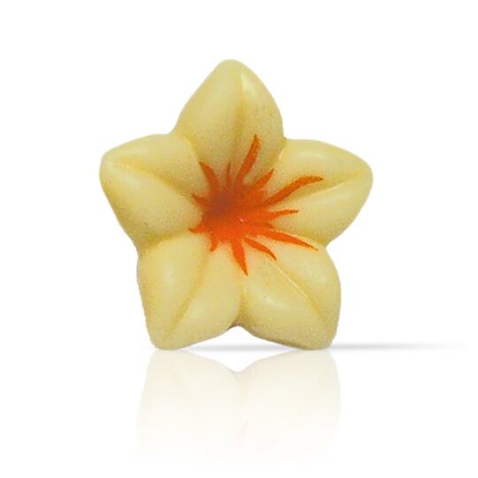 Kvietok biely 3D – 76 ks