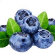 Čučoriedka PREMIUM 50 % – 12 kg