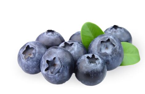 Čučoriedky v géle 60 % 6 kg