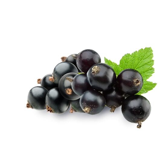 Čierne ríbezle v géle 60 % 6 kg